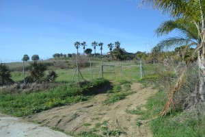 Terreno, R3770662