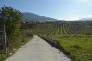 Terreno, R3770662