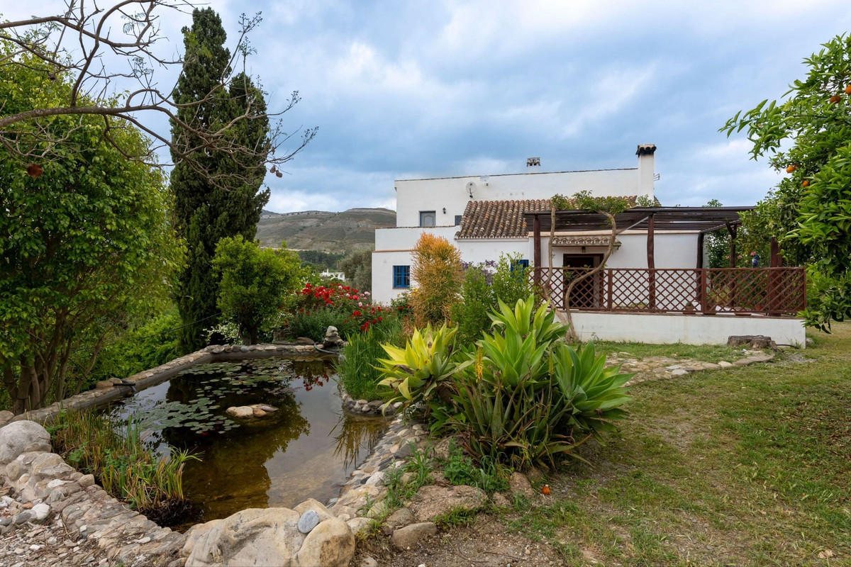 House – Finca – Cortijo in Alhaurín el Grande — photo 1