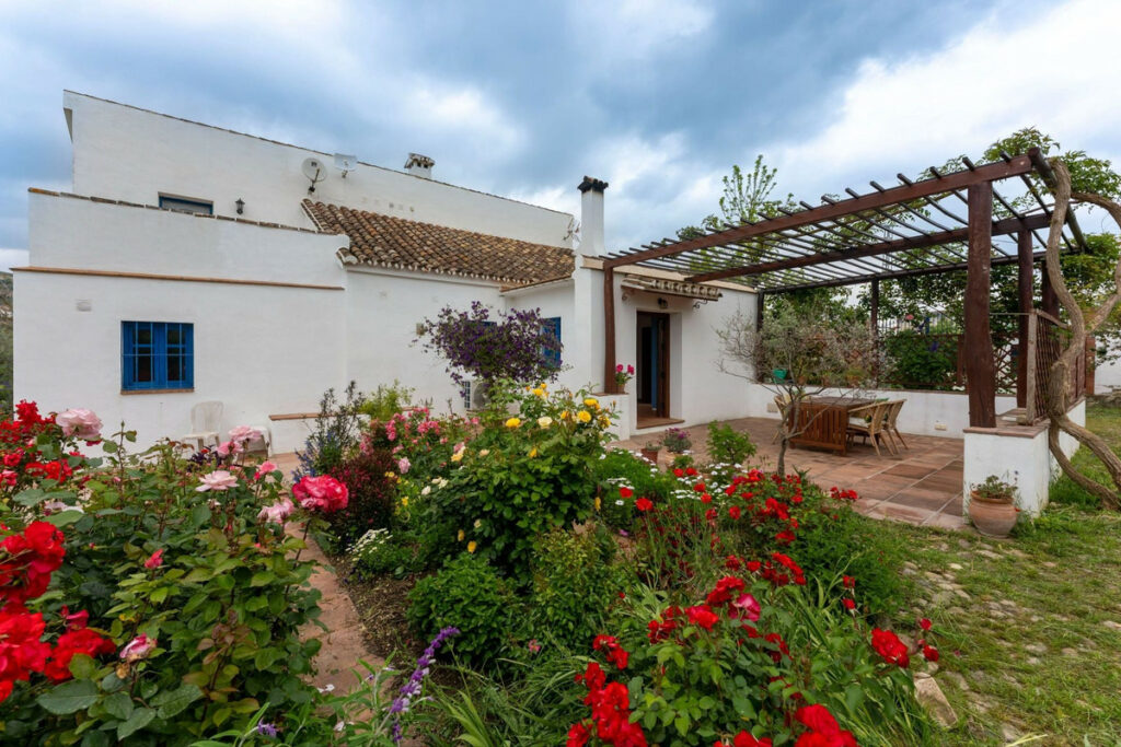 House – Finca – Cortijo in Alhaurín el Grande — photo 3