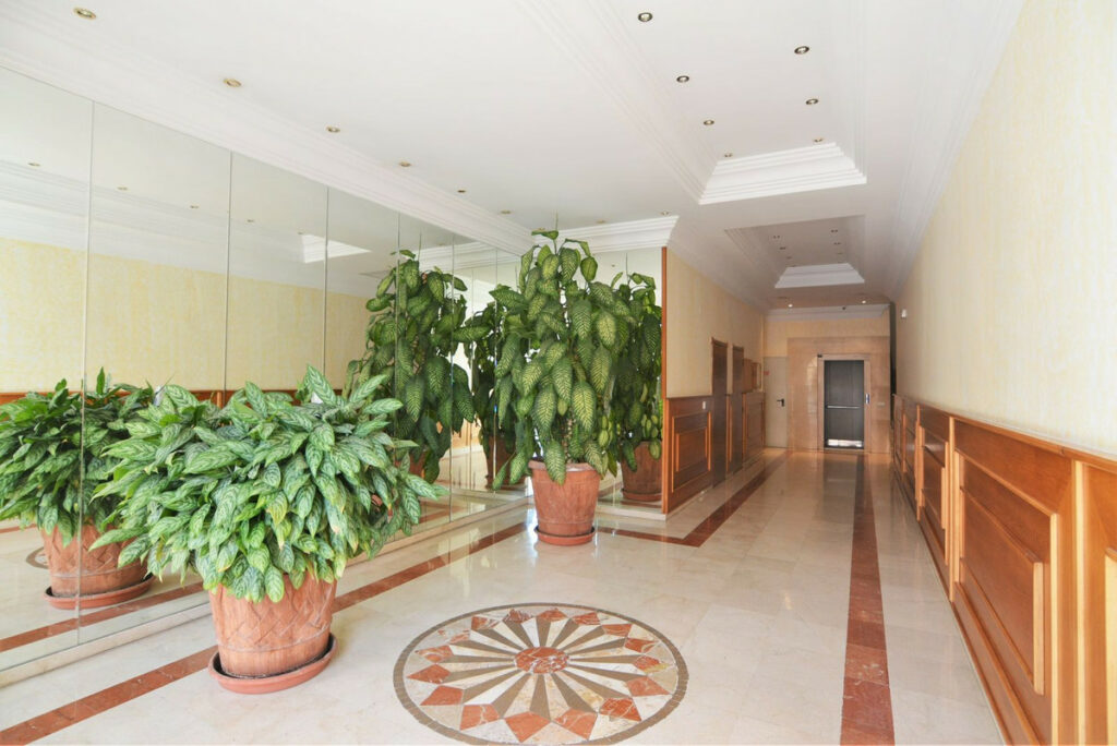 Property in Fuengirola — photo 21