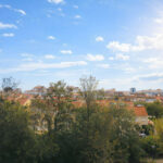 Property in Los Pacos — photo 13