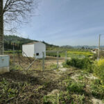 House – Finca – Cortijo in Coín — photo 4