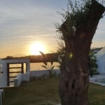 Property in Marbella — photo 15