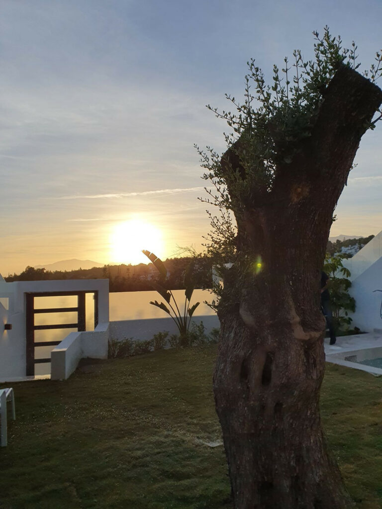 Property in Marbella — photo 15