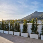 Property in Marbella — photo 22