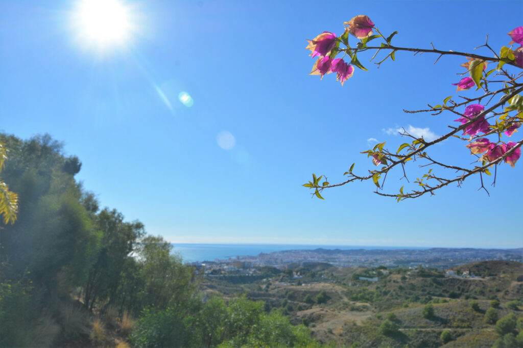 Property in Mijas — photo 7