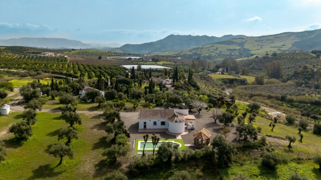 House – Finca – Cortijo in Casarabonela — photo 3