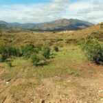 Plot – Residential Plot in Mijas — photo 5