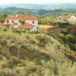 Plot – Residential Plot in Mijas — photo 6