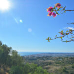 Property in Mijas — photo 38