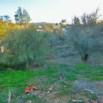 Property in Mijas Golf — photo 6