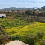 House – Finca – Cortijo in Coín — photo 9