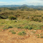 Plot – Residential Plot in Mijas — photo 4