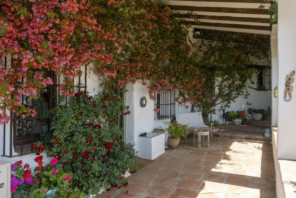 House – Finca – Cortijo in Alhaurín el Grande — photo 1