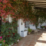 House – Finca – Cortijo in Alhaurín el Grande — photo 1