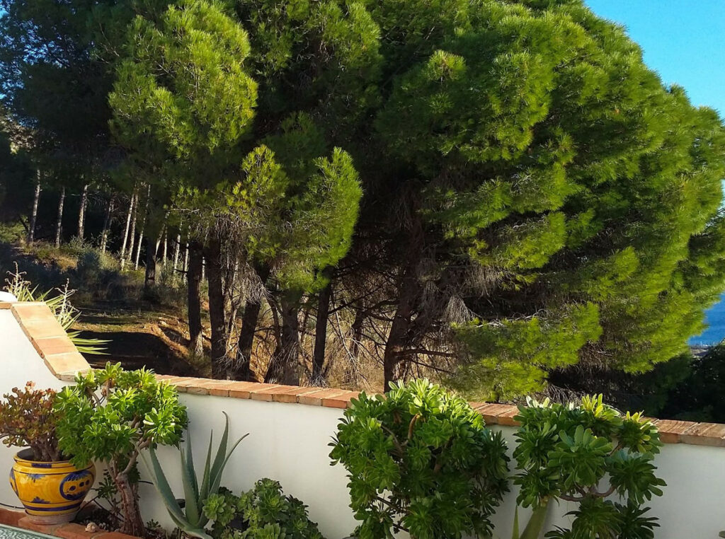 House – Townhouse in Mijas — photo 7