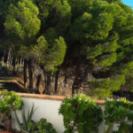 House – Townhouse in Mijas — photo 7