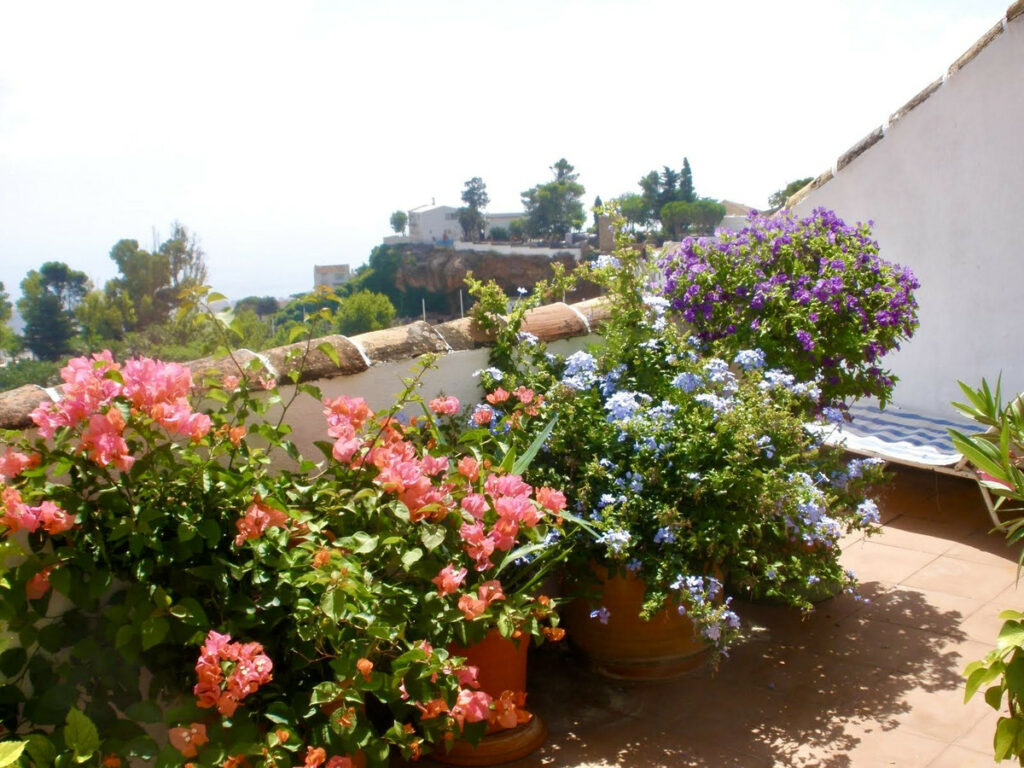 Property in Mijas — photo 15