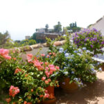 Property in Mijas — photo 15