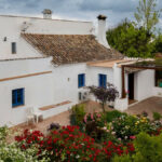 House – Finca – Cortijo in Alhaurín el Grande — photo 2