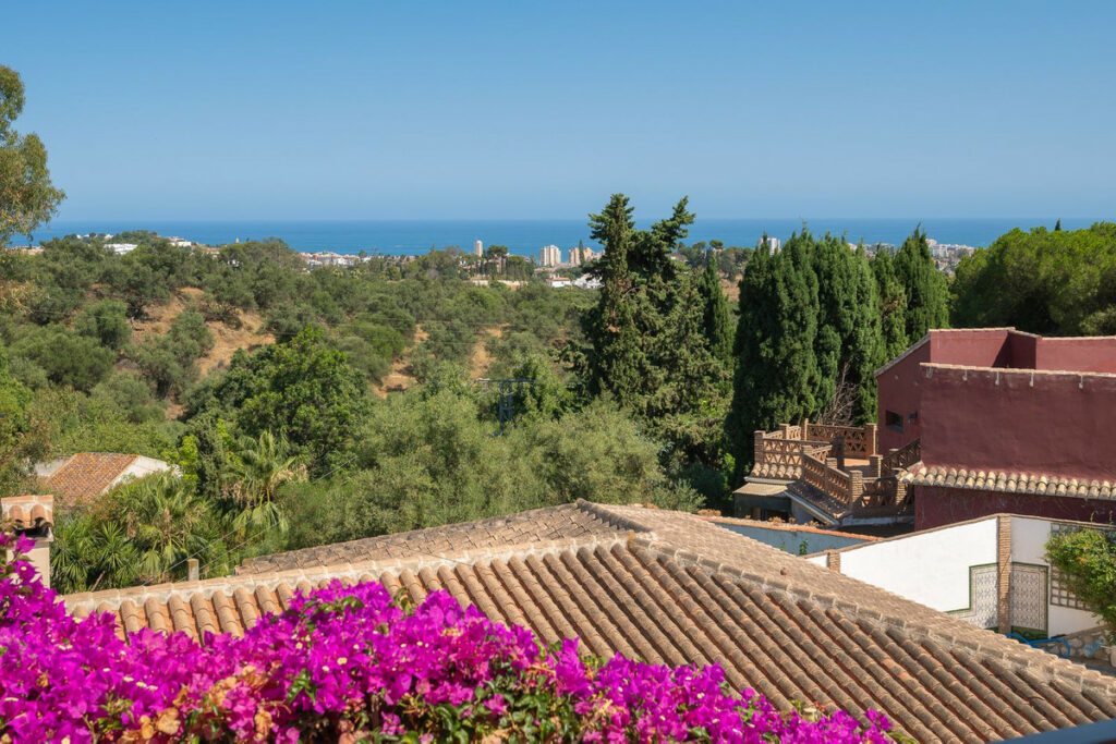 House – Detached Villa in Mijas — photo 5