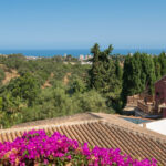 House – Detached Villa in Mijas — photo 5