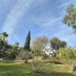 House – Finca – Cortijo in Estacion de Cartama — photo 1