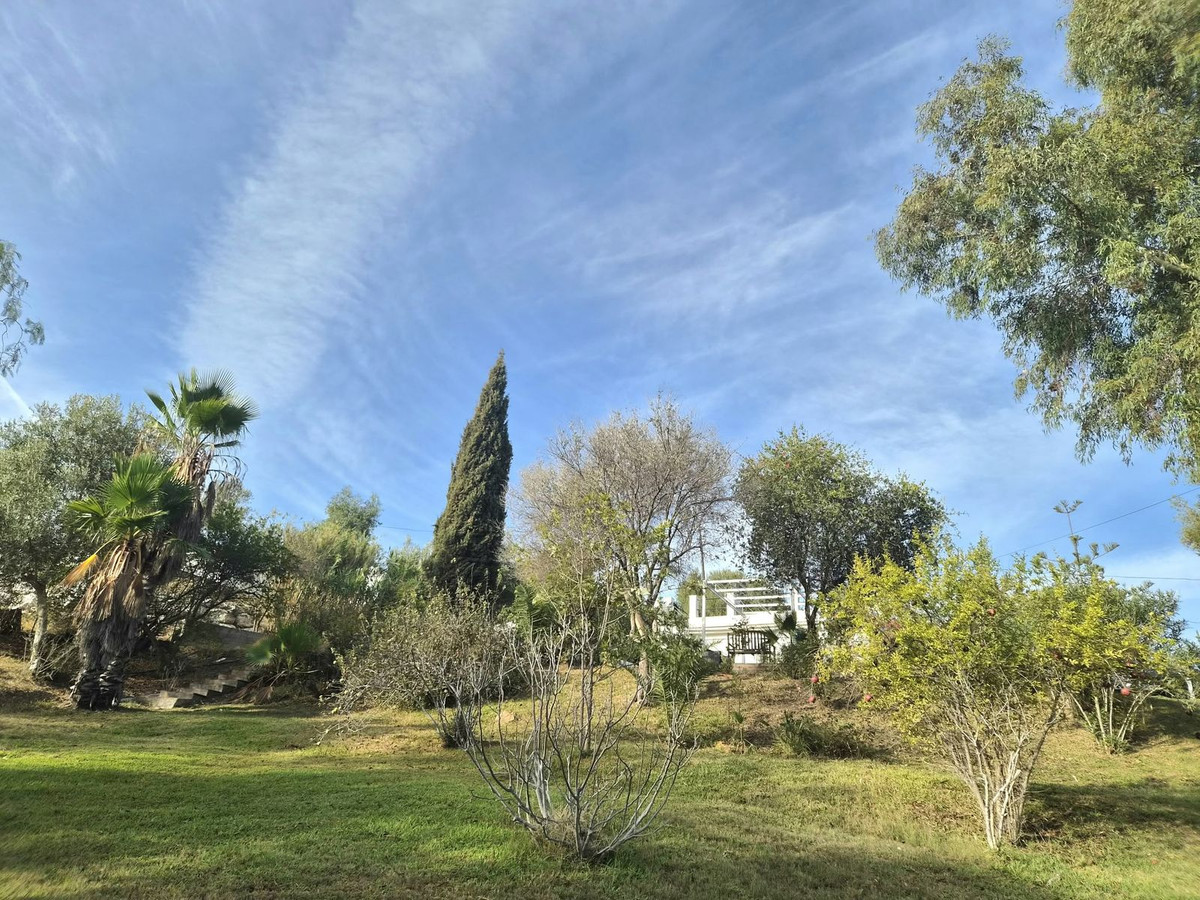 House – Finca – Cortijo in Estacion de Cartama — photo 1